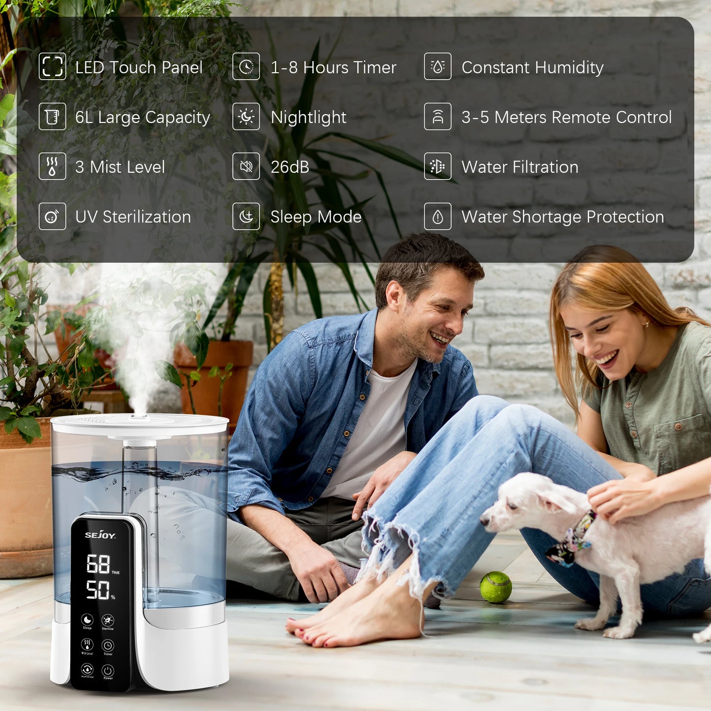SEJOY 6L Air Humidifier Aroma Diffuser with Remote Control