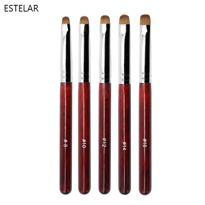 5Pcs French Nail Art Brush Dual End Dotting Pen Beginners