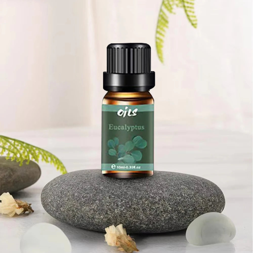 6 in 1 Essential Oil Diffuser Kit with Eucalyptus and More