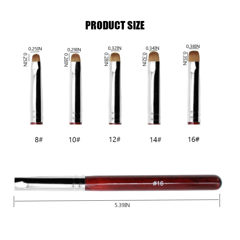 5Pcs French Nail Art Brush Dual End Dotting Pen Beginners