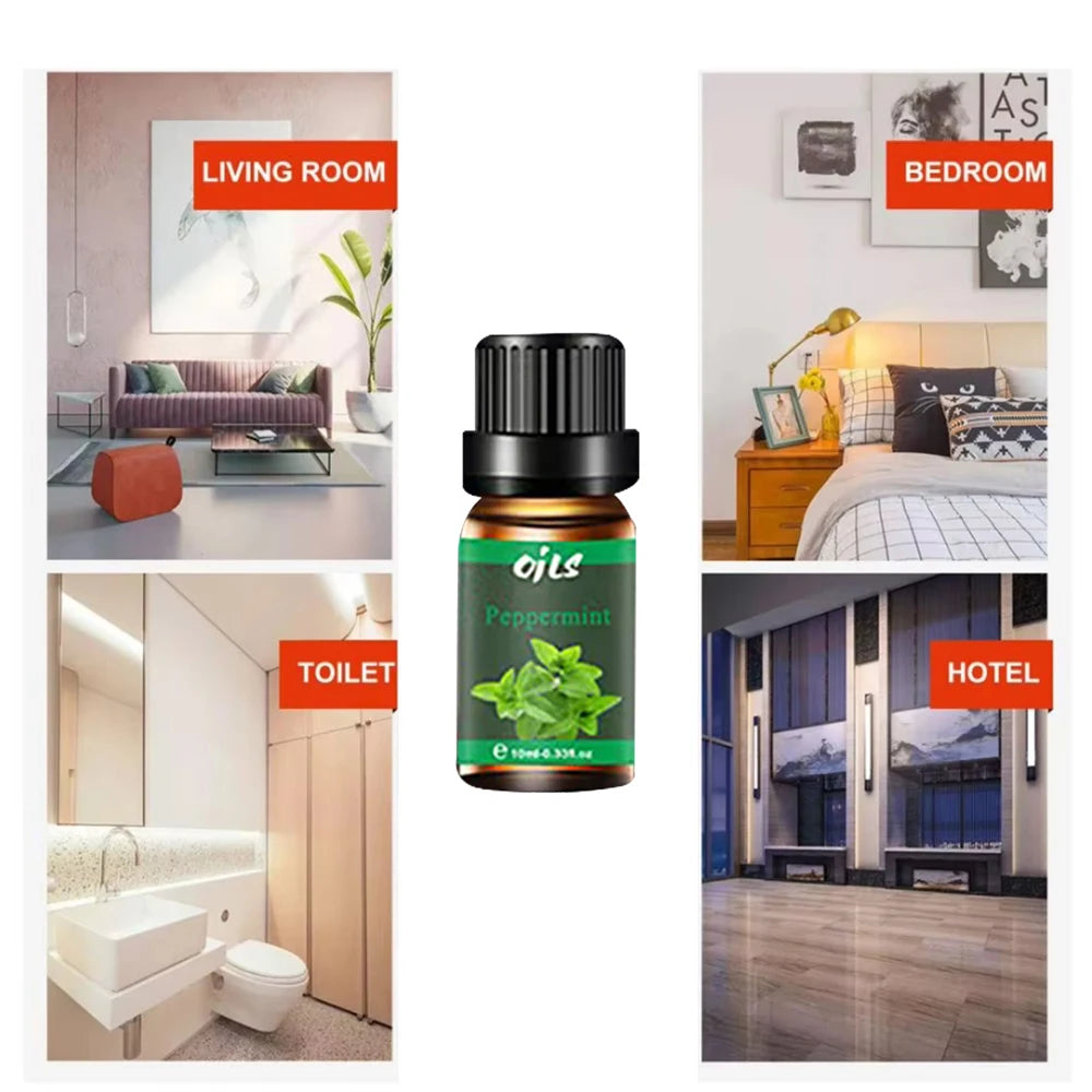 6 in 1 Essential Oil Diffuser Kit with Eucalyptus and More